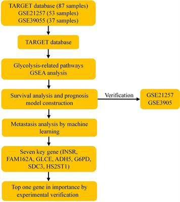 Identification of risk model based on glycolysis-related genes in the metastasis of osteosarcoma